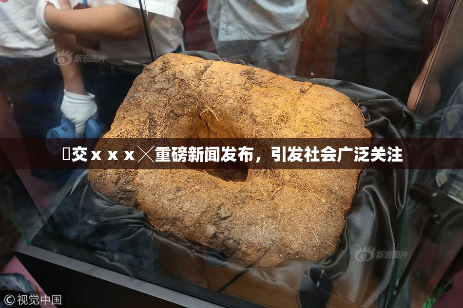 嘼交ⅹⅹⅹ╳重磅新闻发布，引发社会广泛关注