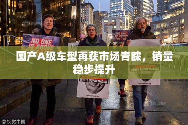 国产A级车型再获市场青睐，销量稳步提升