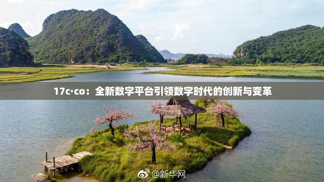 17c·co：全新数字平台引领数字时代的创新与变革