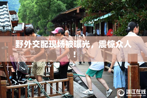 野外交配现场被曝光，震惊众人！
