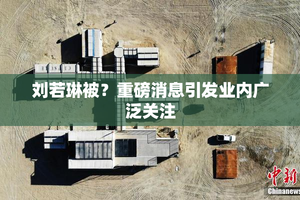 刘若琳被？重磅消息引发业内广泛关注