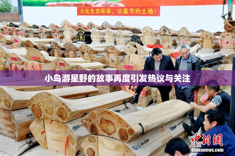 小鸟游星野的故事再度引发热议与关注
