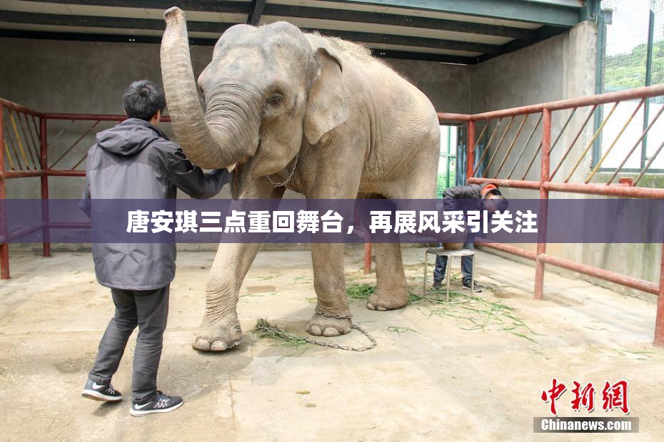 唐安琪三点重回舞台，再展风采引关注