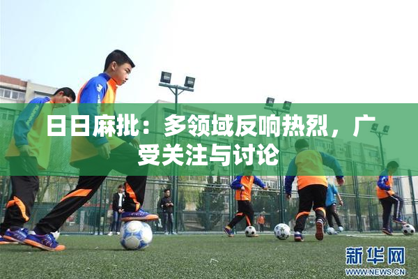 日日麻批：多领域反响热烈，广受关注与讨论
