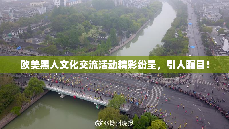 欧美黑人文化交流活动精彩纷呈，引人瞩目！