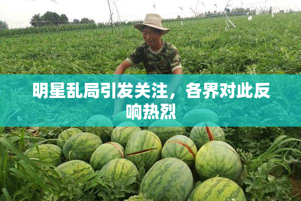 明星乱局引发关注，各界对此反响热烈