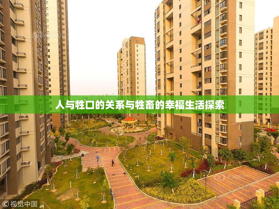 人与牲口的关系与牲畜的幸福生活探索