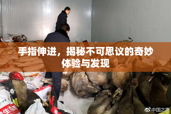 手指伸进，揭秘不可思议的奇妙体验与发现