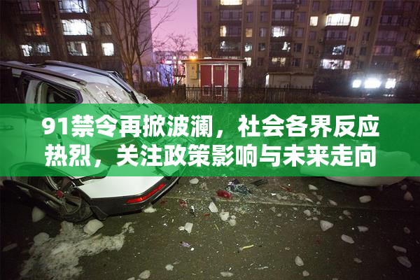 91禁令再掀波澜，社会各界反应热烈，关注政策影响与未来走向