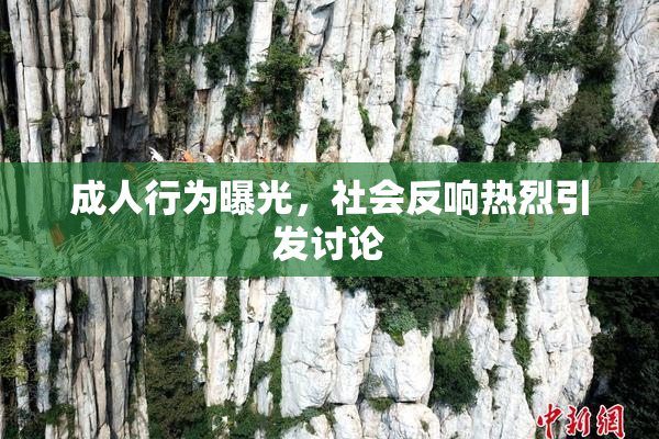 成人行为曝光，社会反响热烈引发讨论