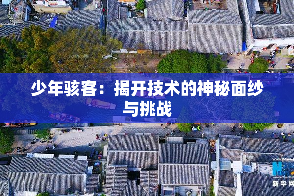 少年骇客：揭开技术的神秘面纱与挑战