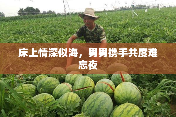 床上情深似海，男男携手共度难忘夜
