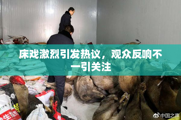 床戏激烈引发热议，观众反响不一引关注
