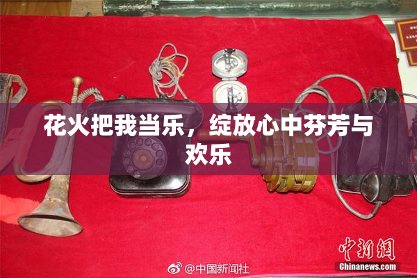 花火把我当乐，绽放心中芬芳与欢乐