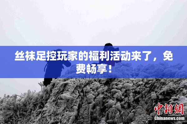 丝袜足控玩家的福利活动来了，免费畅享！