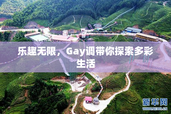 乐趣无限，Gay调带你探索多彩生活