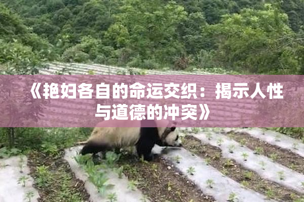《艳妇各自的命运交织：揭示人性与道德的冲突》
