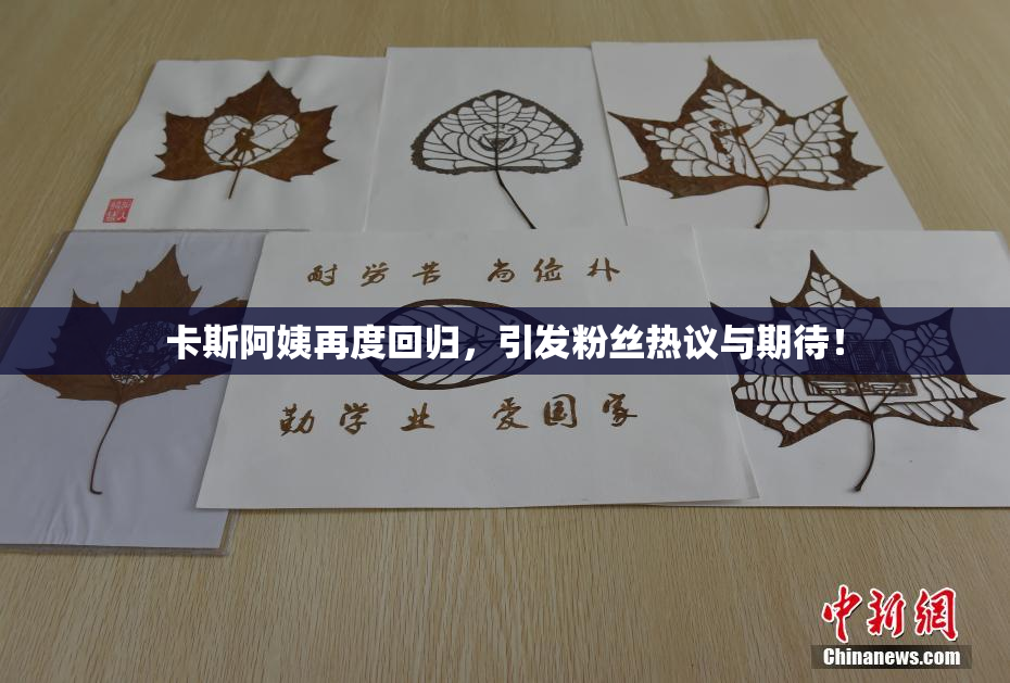 卡斯阿姨再度回归，引发粉丝热议与期待！