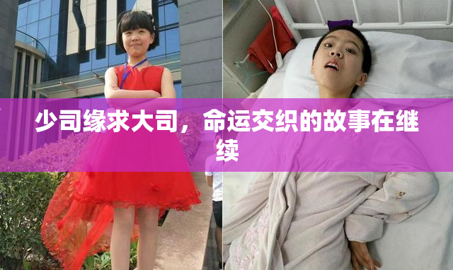 少司缘求大司，命运交织的故事在继续