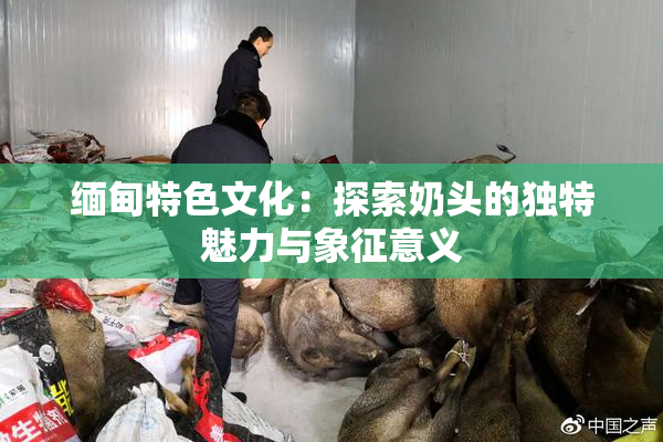 缅甸特色文化：探索奶头的独特魅力与象征意义
