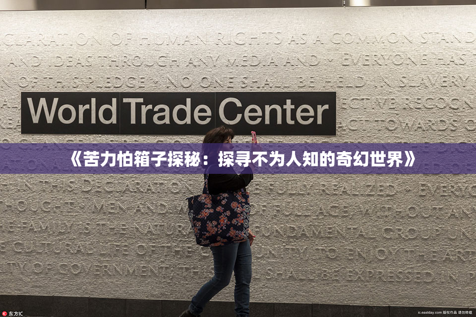 《苦力怕箱子探秘：探寻不为人知的奇幻世界》