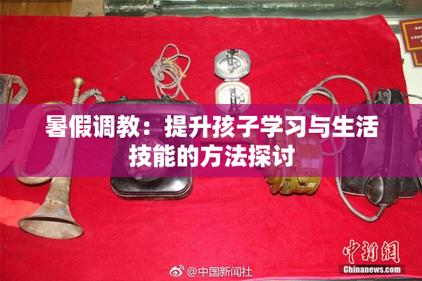 暑假调教：提升孩子学习与生活技能的方法探讨