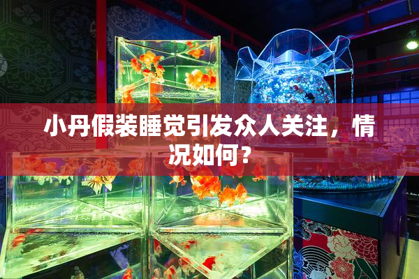 小丹假装睡觉引发众人关注，情况如何？