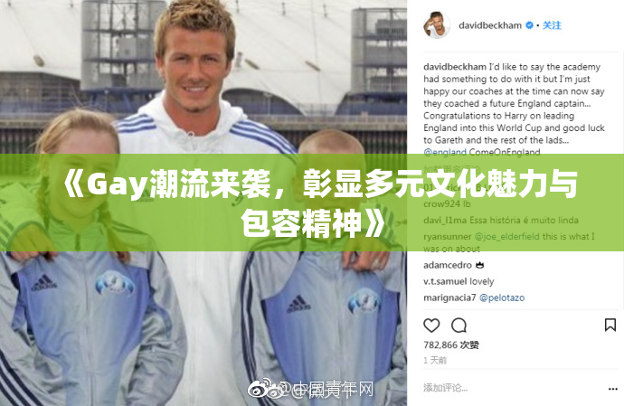 《Gay潮流来袭，彰显多元文化魅力与包容精神》