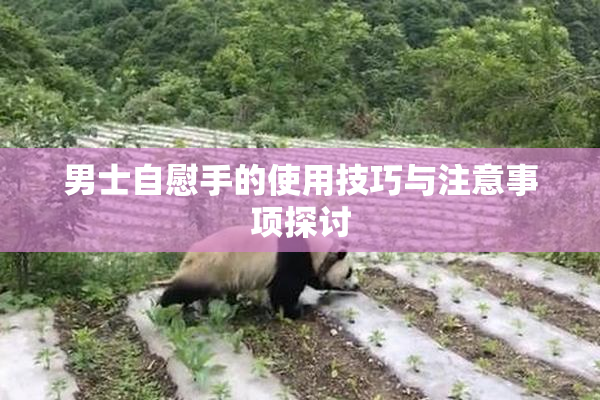 男士自慰手的使用技巧与注意事项探讨