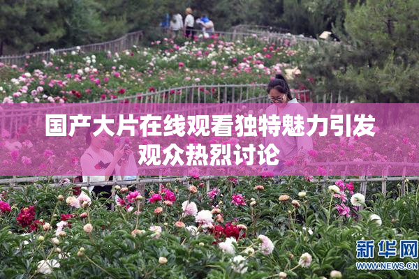 国产大片在线观看独特魅力引发观众热烈讨论