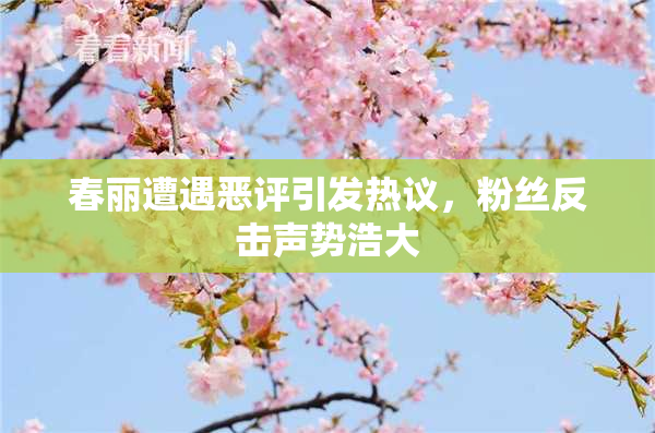 春丽遭遇恶评引发热议，粉丝反击声势浩大