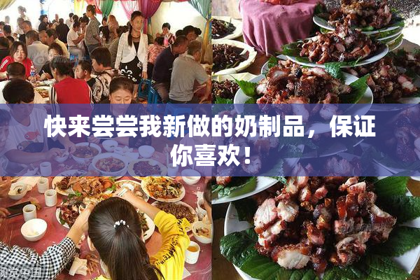 快来尝尝我新做的奶制品，保证你喜欢！