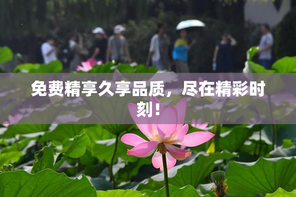 免费精享久享品质，尽在精彩时刻！