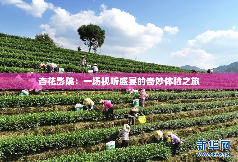 杏花影院：一场视听盛宴的奇妙体验之旅