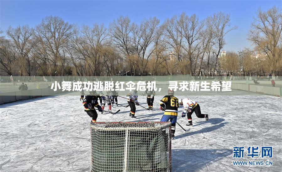 小舞成功逃脱红伞危机，寻求新生希望