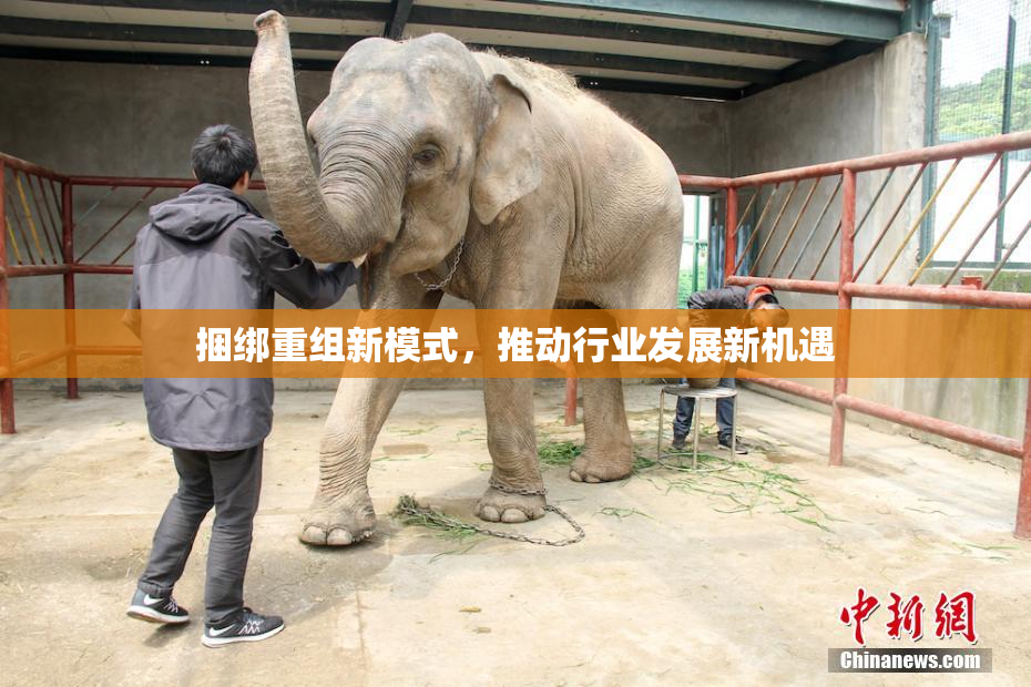 捆绑重组新模式，推动行业发展新机遇