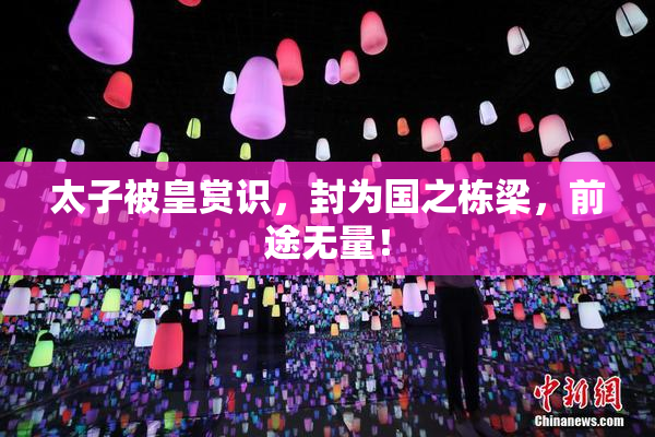 太子被皇赏识，封为国之栋梁，前途无量！