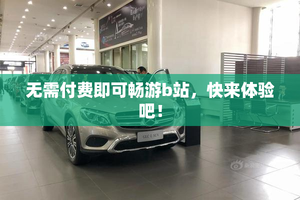 无需付费即可畅游b站，快来体验吧！