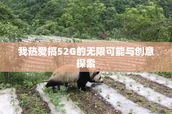 我热爱搞52G的无限可能与创意探索