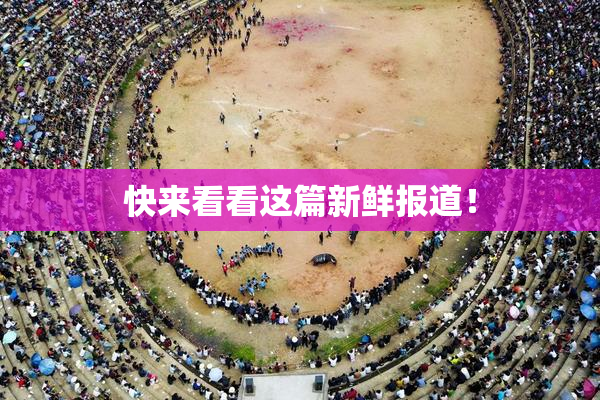 快来看看这篇新鲜报道！