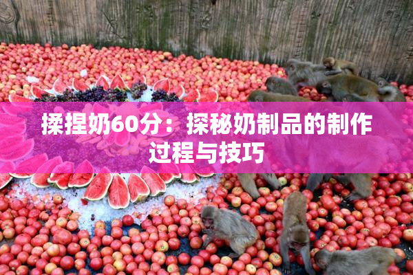 揉捏奶60分：探秘奶制品的制作过程与技巧