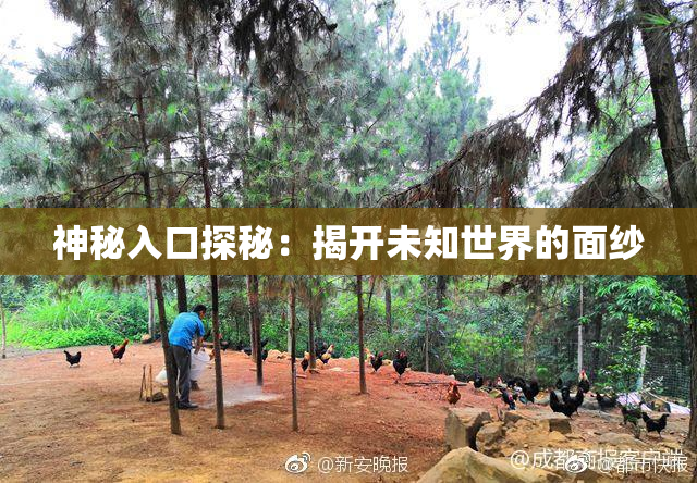 神秘入口探秘：揭开未知世界的面纱