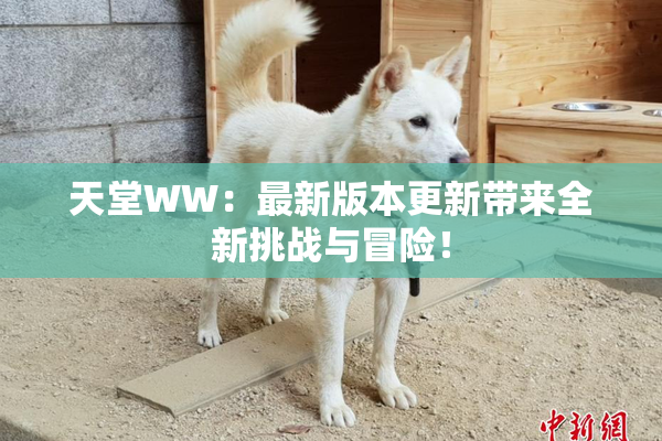 天堂WW：最新版本更新带来全新挑战与冒险！