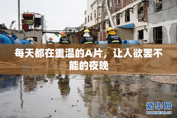 每天都在重温的A片，让人欲罢不能的夜晚