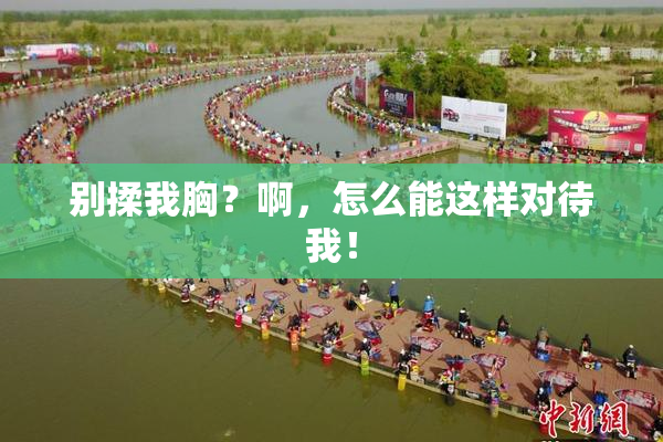 别揉我胸？啊，怎么能这样对待我！