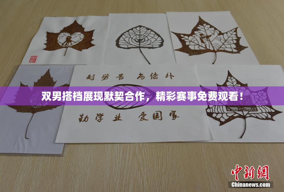 双男搭档展现默契合作，精彩赛事免费观看！