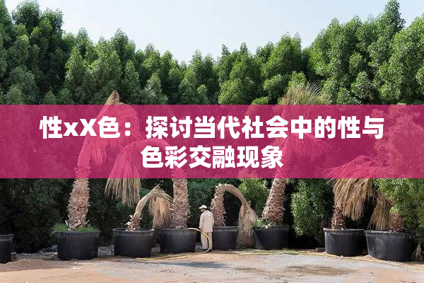 性xX色：探讨当代社会中的性与色彩交融现象