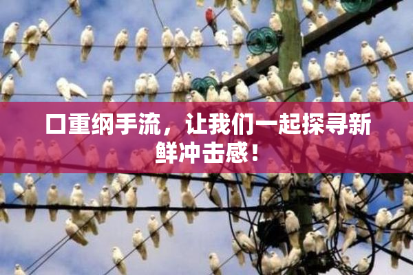 口重纲手流，让我们一起探寻新鲜冲击感！