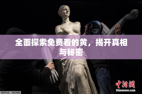 全面探索免费看的黄，揭开真相与秘密