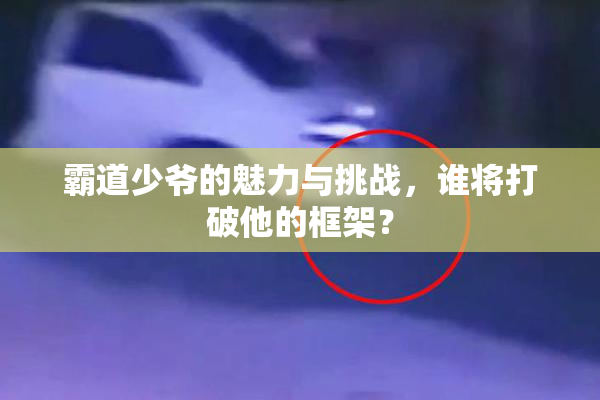 霸道少爷的魅力与挑战，谁将打破他的框架？